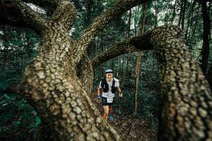 BIB: 
                            <button type="button" onclick="openModal(25393064)" class="btn btn-primary btn-sm float-right btn-popup" data-toggle="modal" data-target=".modal-high-quality">
                        <i class="fas fa-shopping-cart"></i> Add to Cart
                    </button>
                                            <button type="button" onclick="isThisMe(25393064, true)" class="btn btn-success btn-sm float-right btn-popup btn-isme hidden" data-toggle="tooltip" data-placement="bottom" title="นี่คือรูปของคุณใช่ไหม คลิกที่นี่เพื่อเอาเข้าอัลบั้ม">
                        <i class="fas fa-plus"></i> Add to album
                    </button>
                    <button type="button" onclick="isThisMe(25393064, false)" class="btn btn-warning btn-sm float-right btn-popup btn-isnotme hidden">
                        <i class="fas fa-ban"></i> Remove from album
                    </button>